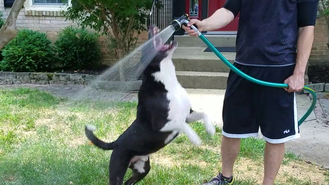 Washing a Car Was Tricky